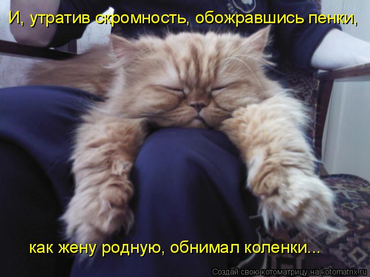 И, утратив скромность, обожравшись пенки, как жену родную, обнимал коленки...... Котоматрица: И, утратив скромность, обожравшись пенки, как жену родную, обнимал коленки...