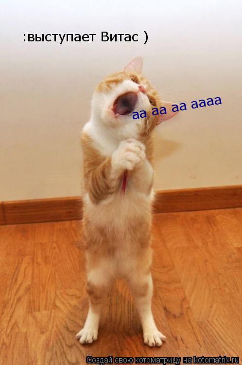 :выступает Витас ) аа аа аа аааа... Котоматрица: :выступает Витас ) аа аа аа аааа