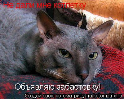 Не дали мне котлетку Объявляю забастовку!... Котоматрица: Не дали мне котлетку Объявляю забастовку!