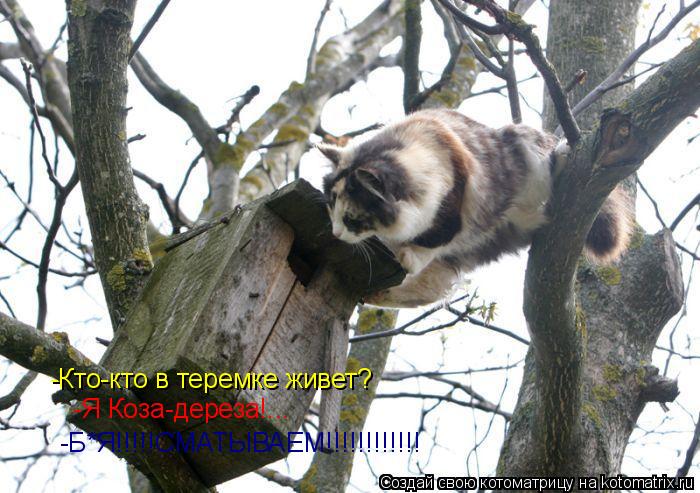 -Кто-кто в теремке живет? -Кто-кто в теремке живет? -Я Коза-дереза!... -Б*Я!!!!!СМАТЫВАЕМ!!!!!!!!!!!!... Котоматрица: -Кто-кто в теремке живет? -Кто-кто в теремке живет? -Я Коза-дереза!... -Б*Я!!!!!СМАТЫВАЕМ!!!!!!!!!!!!