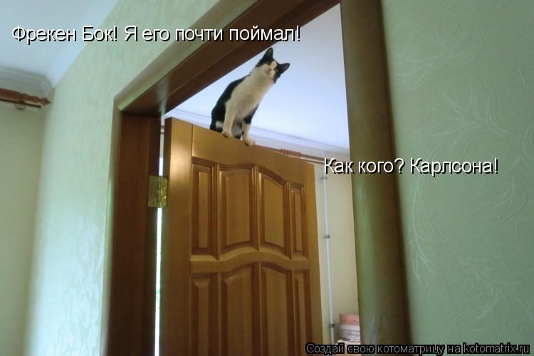 Фрекен Бок! Я его почти поймал! Как кого? Карлсона!... Котоматрица: Фрекен Бок! Я его почти поймал! Как кого? Карлсона!