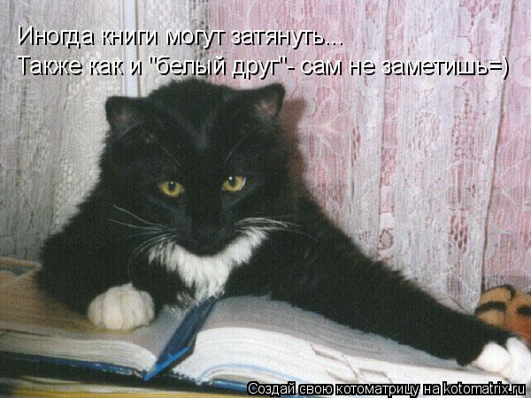 Иногда книги могут затянуть... Также как и "белый друг"- сам не заметишь=)... Котоматрица: Иногда книги могут затянуть... Также как и "белый друг"- сам не заметишь=)