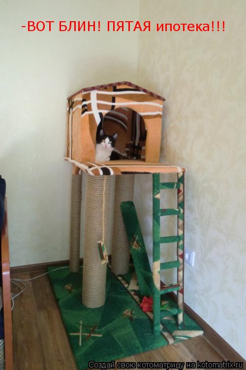 -ВОТ БЛИН! ПЯТАЯ ипотека!!!... Котоматрица: -ВОТ БЛИН! ПЯТАЯ ипотека!!!