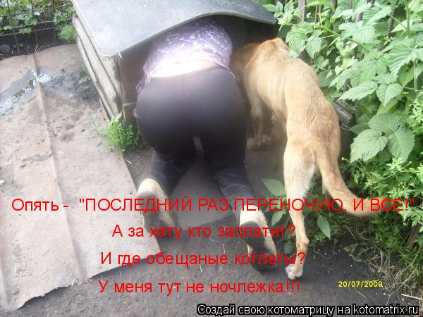Опять - "ПОСЛЕДНИЙ РАЗ ПЕРЕНОЧУЮ, И ВСЕ!" А за хату кто заплатит? И где обещаные котлеты? У меня ту... Котоматрица: Опять - "ПОСЛЕДНИЙ РАЗ ПЕРЕНОЧУЮ, И ВСЕ!" А за хату кто заплатит? И где обещаные котлеты? У меня тут не ночлежка!!!