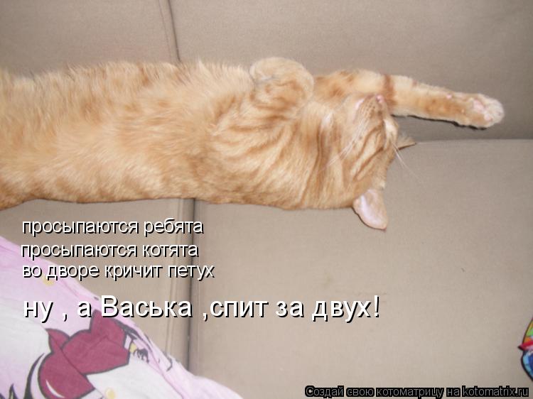 просыпаются ребята просыпаются котята во дворе кричит петух ну , а Васька ,спит за двух!... Котоматрица: просыпаются ребята просыпаются котята во дворе кричит петух ну , а Васька ,спит за двух!