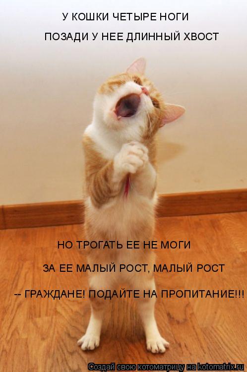 У КОШКИ ЧЕТЫРЕ НОГИ ПОЗАДИ У НЕЕ ДЛИННЫЙ ХВОСТ НО ТРОГАТЬ ЕЕ НЕ МОГИ -- ГРАЖДАНЕ! ПОДАЙТЕ НА ПРОПИТАН... Котоматрица: У КОШКИ ЧЕТЫРЕ НОГИ ПОЗАДИ У НЕЕ ДЛИННЫЙ ХВОСТ НО ТРОГАТЬ ЕЕ НЕ МОГИ -- ГРАЖДАНЕ! ПОДАЙТЕ НА ПРОПИТАНИЕ!!! ЗА ЕЕ МАЛЫЙ РОСТ, МАЛЫЙ РОСТ