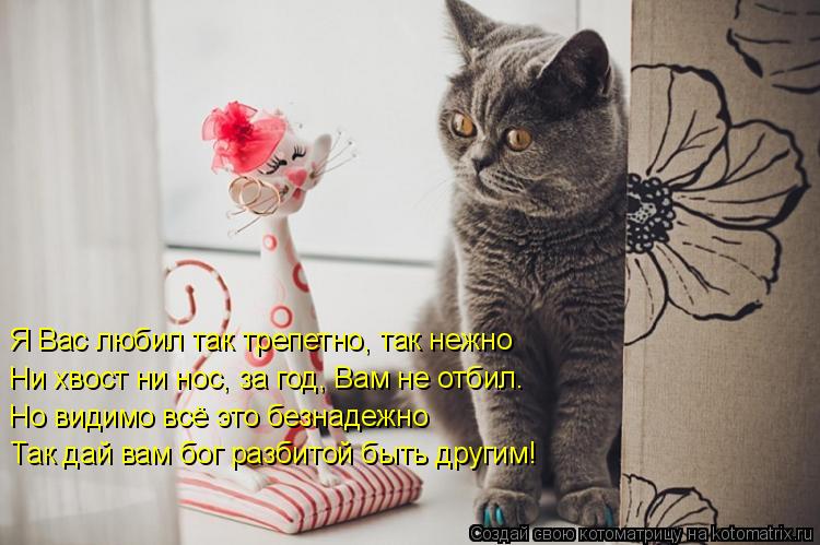 Я Вас любил так трепетно, так нежно Ни хвост ни нос, за год, Вам не отбил. Но видимо всё это безнаде... Котоматрица: Я Вас любил так трепетно, так нежно Ни хвост ни нос, за год, Вам не отбил. Но видимо всё это безнадежно Так дай вам бог разбитой быть другим!