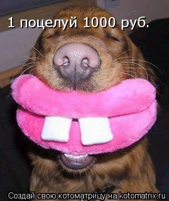1 поцелуй 1000 руб.... Котоматрица: 1 поцелуй 1000 руб.