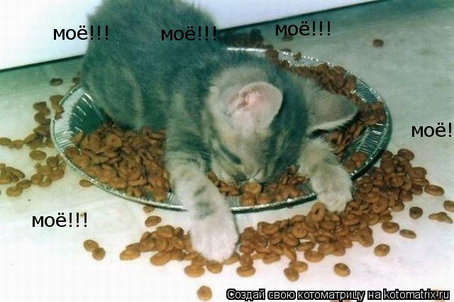 моё!!! моё!!! моё!!! моё!!! моё!!!... Котоматрица: моё!!! моё!!! моё!!! моё!!! моё!!!
