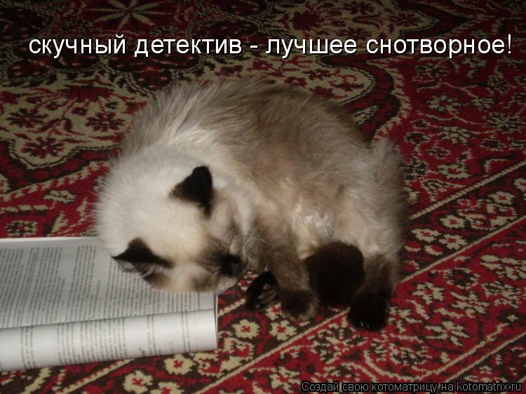 скучный детектив - лучшее снотворное!... Котоматрица: скучный детектив - лучшее снотворное!
