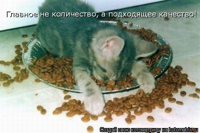 Главное не количество, а подходящее качество!... Котоматрица: Главное не количество, а подходящее качество!