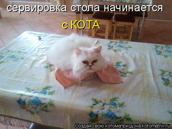 сервировка стола начинается с КОТА... Котоматрица: сервировка стола начинается с КОТА