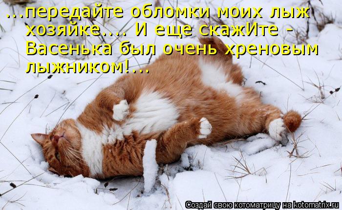 ...передайте обломки моих лыж хозяйке.... И еще скажИте - Васенька был очень хреновым лыжником!...... Котоматрица: ...передайте обломки моих лыж хозяйке.... И еще скажИте - Васенька был очень хреновым лыжником!...