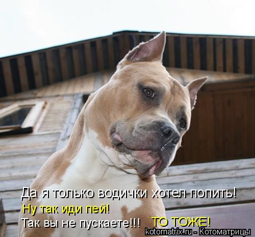 Котоматрица: Да я только водички хотел попить! Ну так иди пей! Так вы не пускаете!!! ТО ТОЖЕ!