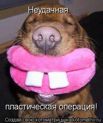 Котоматрица: Неудачная  пластическая операция!