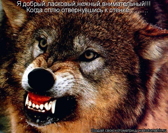 Котоматрица: Я добрый,ласковый,нежный,внимательный!!! Когда сплю отвернувшись к стенке...........