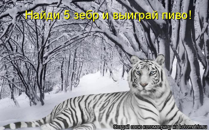 Найди 5 зебр и выиграй пиво!... Котоматрица: Найди 5 зебр и выиграй пиво!