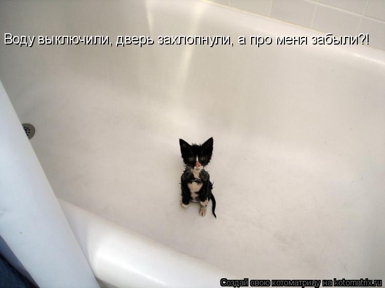 Котоматрица: Воду выключили, дверь захлопнули, а про меня забыли?!