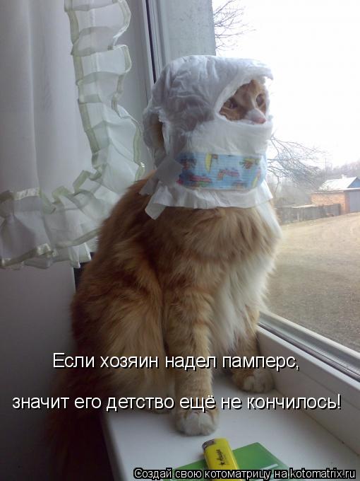 Если хозяин надел памперс, значит его детство ещё не кончилось!... Котоматрица: Если хозяин надел памперс, значит его детство ещё не кончилось!