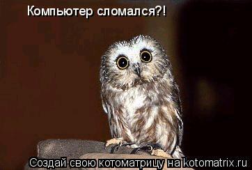 Компьютер сломался?!... Котоматрица: Компьютер сломался?!