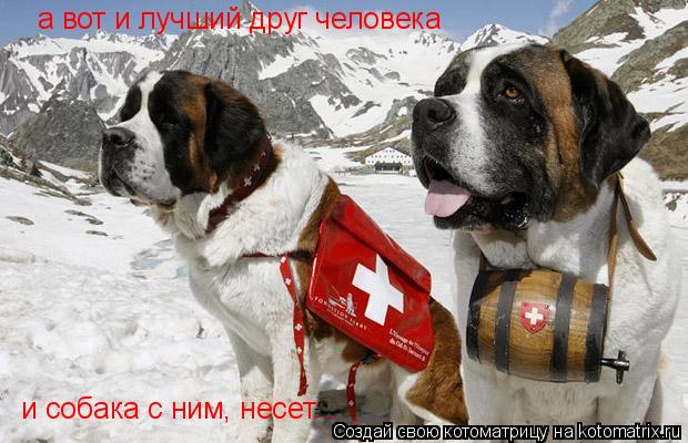 а вот и лучший друг человека и собака с ним, несет...... Котоматрица: а вот и лучший друг человека и собака с ним, несет...