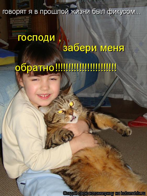 говорят я в прошлой жизни был фикусом... господи , забери меня обратно!!!!!!!!!!!!!!!!!!!!!!!... Котоматрица: говорят я в прошлой жизни был фикусом... господи , забери меня обратно!!!!!!!!!!!!!!!!!!!!!!!