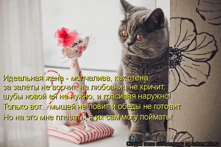 Идеальная жена - молчалива, как стена, за залёты не ворчит, на любовниц не кричит, шубы новой ей ... Котоматрица: Идеальная жена - молчалива, как стена, за залёты не ворчит, на любовниц не кричит, шубы новой ей не нужно, и красивая наружно! Только вот... м