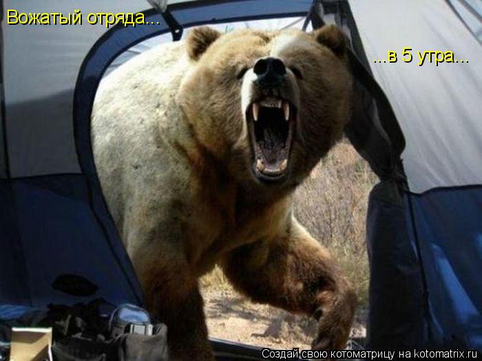 Вожатый отряда... ...в 5 утра...... Котоматрица: Вожатый отряда... ...в 5 утра...