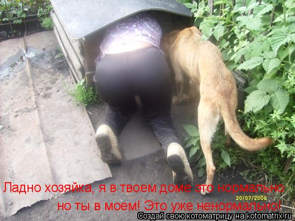 Ладно хозяйка, я в твоем доме это нормально но ты в моем! Это уже ненормально!... Котоматрица: Ладно хозяйка, я в твоем доме это нормально но ты в моем! Это уже ненормально!