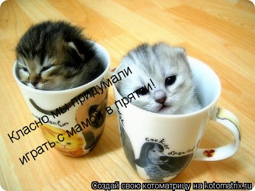 Класно мы придумали играть с мамой в прятки!... Котоматрица: Класно мы придумали играть с мамой в прятки!