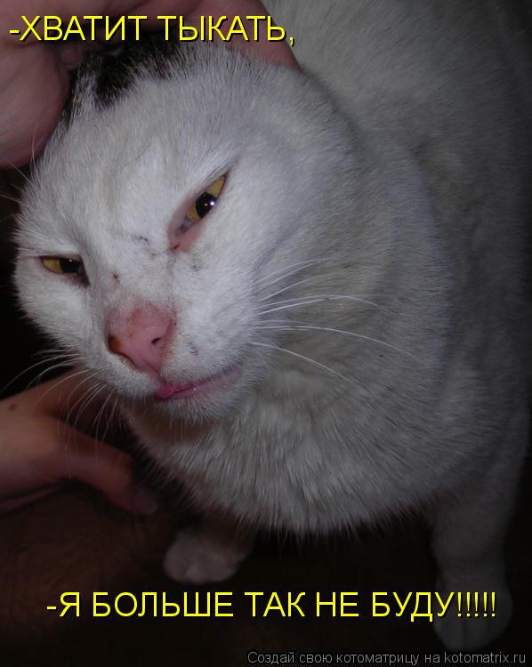-ХВАТИТ ТЫКАТЬ, -Я БОЛЬШЕ ТАК НЕ БУДУ!!!!!... Котоматрица: -ХВАТИТ ТЫКАТЬ, -Я БОЛЬШЕ ТАК НЕ БУДУ!!!!!