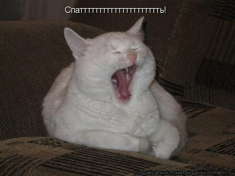 Спаттттттттттттттттттттть!... Котоматрица: Спаттттттттттттттттттттть!