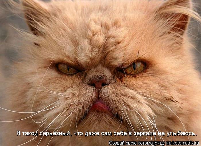 Я такой серьёзный, что даже сам себе в зеркале не улыбаюсь.... Котоматрица: Я такой серьёзный, что даже сам себе в зеркале не улыбаюсь.