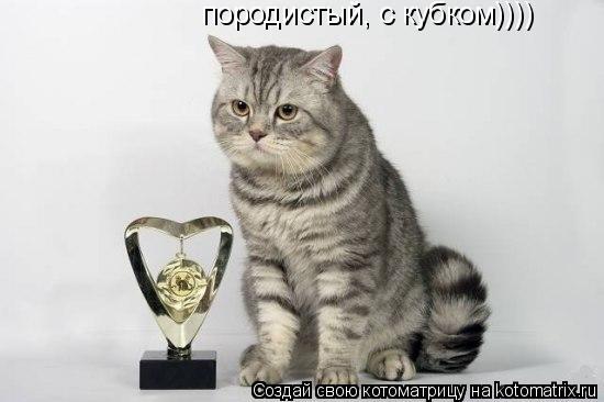 породистый, с кубком))))... Котоматрица: породистый, с кубком))))