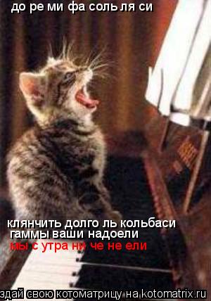 до ре ми фа соль ля си клянчить долго ль кольбаси гаммы ваши надоели мы с утра ни че не ели... Котоматрица: до ре ми фа соль ля си клянчить долго ль кольбаси гаммы ваши надоели мы с утра ни че не ели