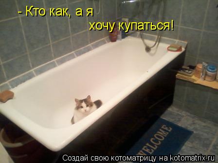 - Кто как, а я хочу купаться!... Котоматрица: - Кто как, а я хочу купаться!