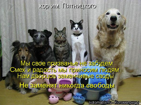 хор им. Пятницкого Мы свое призванье не забудем Смех и радость мы приносим людям Нам дворцов заманчив... Котоматрица: хор им. Пятницкого Мы свое призванье не забудем Смех и радость мы приносим людям Нам дворцов заманчивые своды Не заменят никогда свободы
