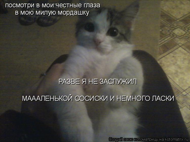 посмотри в мои честные глаза в мою милую мордашку РАЗВЕ Я НЕ ЗАСЛУЖИЛ МАААЛЕНЬКОЙ СОСИСКИ И НЕМНОГО ... Котоматрица: посмотри в мои честные глаза в мою милую мордашку РАЗВЕ Я НЕ ЗАСЛУЖИЛ МАААЛЕНЬКОЙ СОСИСКИ И НЕМНОГО ЛАСКИ