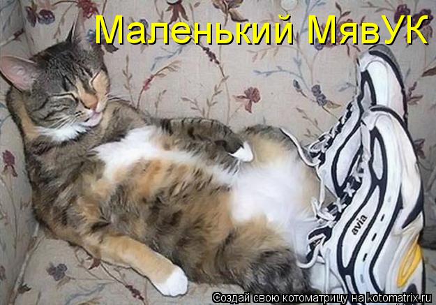 Маленький МявУК... Котоматрица: Маленький МявУК