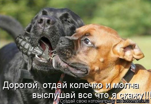 выслушай все что я скажу!!! Дорогой, отдай колечко и молча Дорогой, отдай колечко и молча... Котоматрица: выслушай все что я скажу!!! Дорогой, отдай колечко и молча Дорогой, отдай колечко и молча
