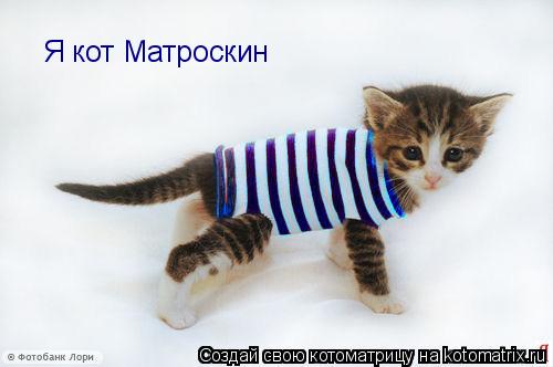 Я кот Матроскин... Котоматрица: Я кот Матроскин