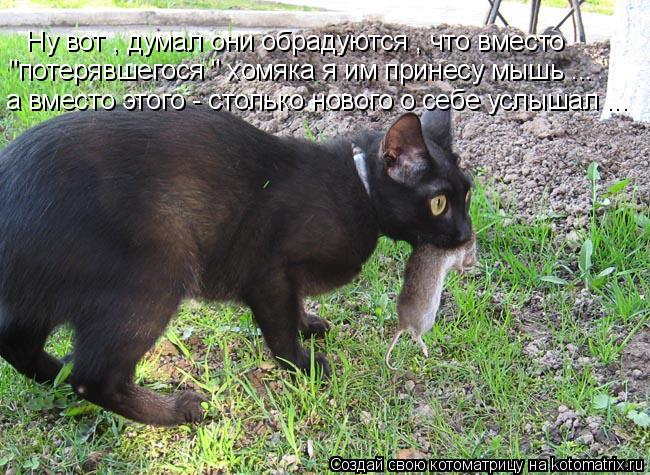 Ну вот , думал они обрадуются , что вместо "потерявшегося " хомяка я им принесу мышь ... а вместо это... Котоматрица: Ну вот , думал они обрадуются , что вместо "потерявшегося " хомяка я им принесу мышь ... а вместо этого - столько нового о себе услышал ...