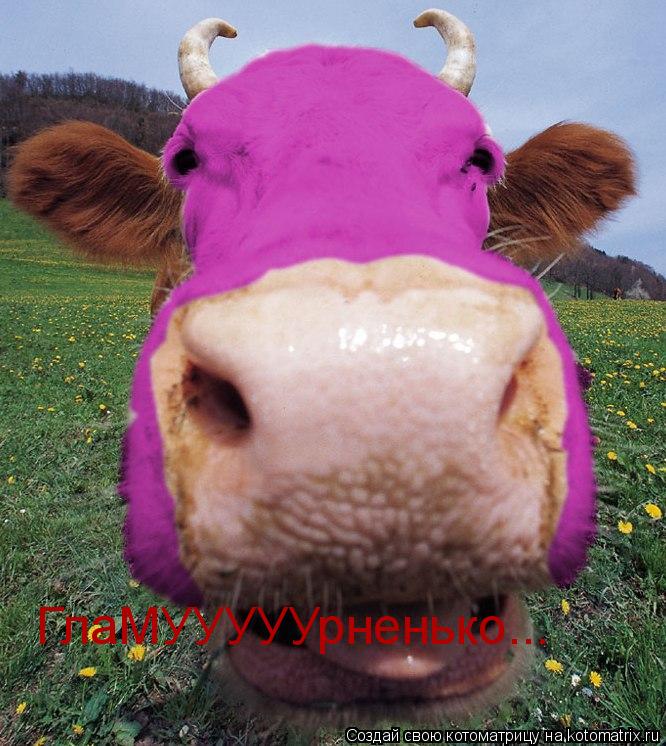 ГлаМУУУУУрненько...... Котоматрица: ГлаМУУУУУрненько...