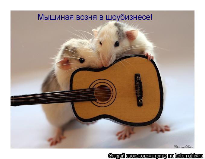 Мышиная возня в шоубизнесе!... Котоматрица: Мышиная возня в шоубизнесе!