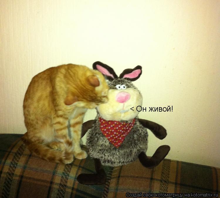 < Он живой!... Котоматрица: < Он живой!