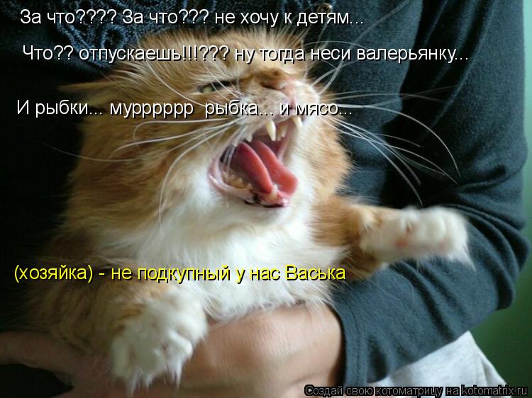 За что???? За что??? не хочу к детям... Что?? отпускаешь!!!??? ну тогда неси валерьянку... И рыбки...... Котоматрица: За что???? За что??? не хочу к детям... Что?? отпускаешь!!!??? ну тогда неси валерьянку... И рыбки... мурррррр рыбка... и мясо... (хозяйка) - не подк