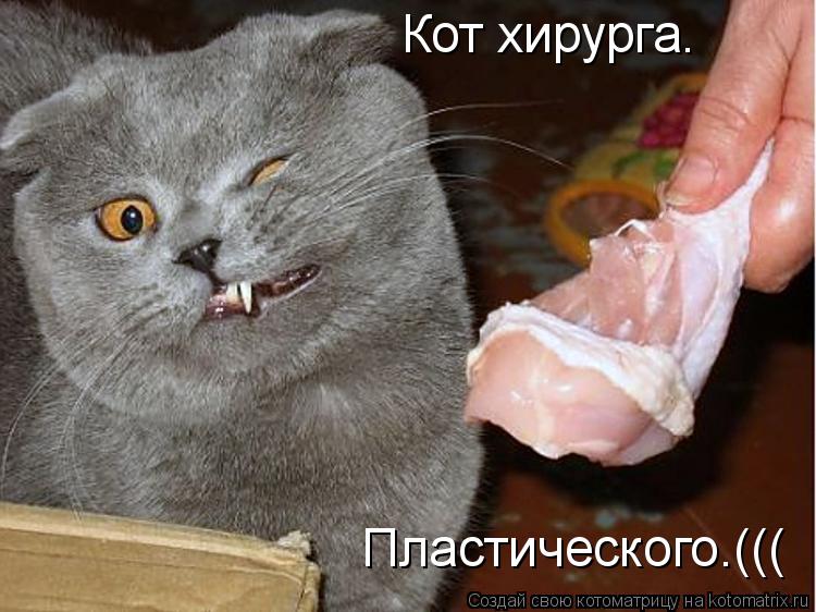Кот хирурга. Пластического.(((... Котоматрица: Кот хирурга. Пластического.(((