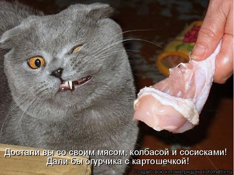 Достали вы со своим мясом, колбасой и сосисками! Дали бы огурчика с картошечкой!... Котоматрица: Достали вы со своим мясом, колбасой и сосисками! Дали бы огурчика с картошечкой!