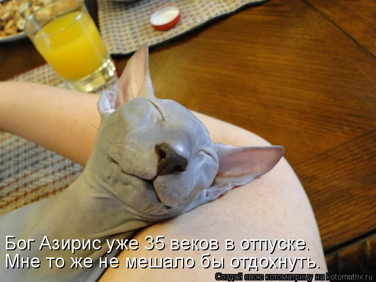 Бог Азирис уже 35 веков в отпуске. Мне то же не мешало бы отдохнуть.... Котоматрица: Бог Азирис уже 35 веков в отпуске. Мне то же не мешало бы отдохнуть.