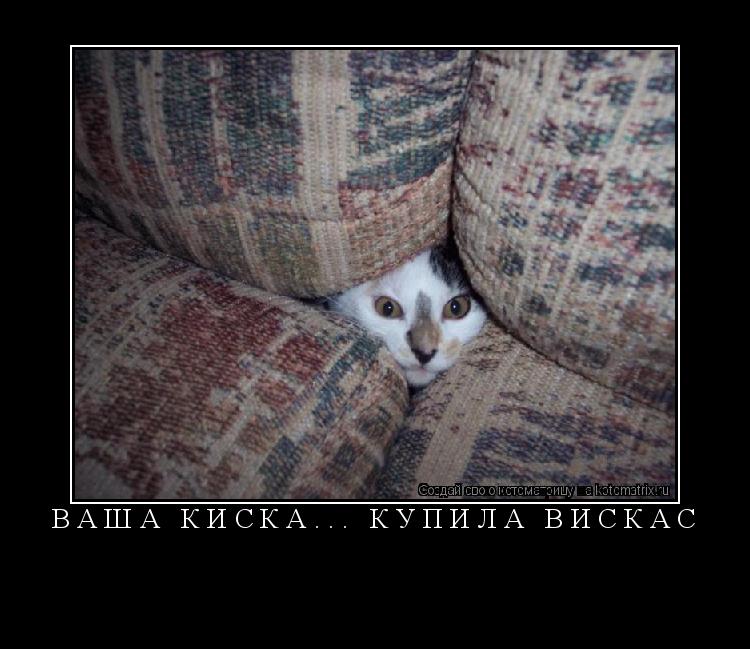ВАША КИСКА... КУПИЛА ВИСКАС ... Котоматрица: ВАША КИСКА... КУПИЛА ВИСКАС